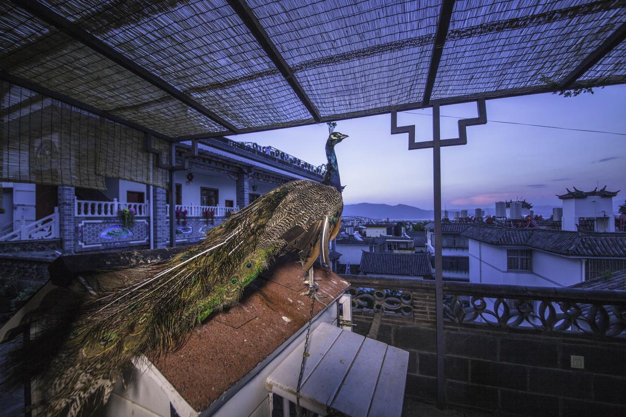 Yinfeng Hotel Dali  Luaran gambar